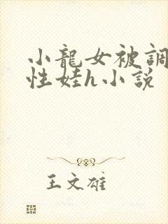 小龙女被调教成性娃h小说封面