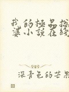 我的极品总裁老婆小说在线阅读