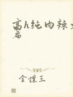 高h纯肉辣文短篇