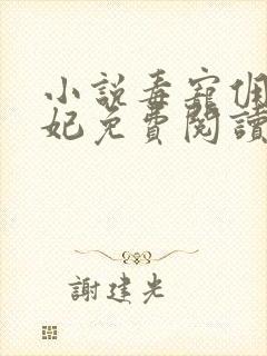 小说毒宠佣兵王妃免费阅读封面