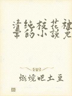 清纯校花被擒日常的小说免费阅读苏封面