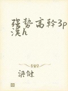 强势高干3p糙汉h