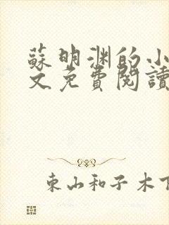 苏明渊的小说全文免费阅读无弹窗