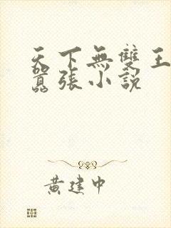 天下无双王妃太嚣张小说