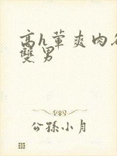 高h荤爽肉欲文双男