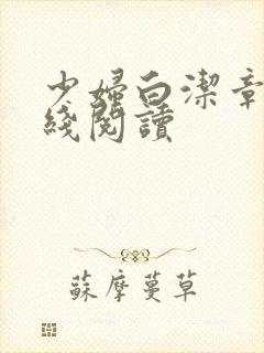 少妇白洁章节在线阅读