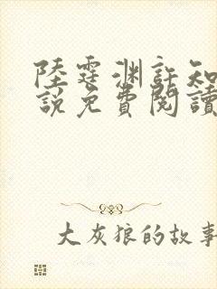 陆霆渊许知知小说免费阅读最新章节