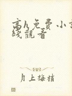 高h免费小说在线观看封面