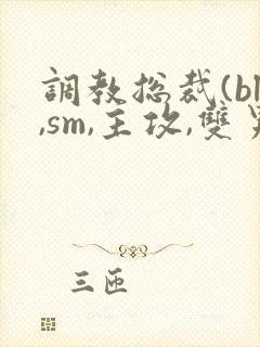 调教总裁(bl,sm,主攻,双男)