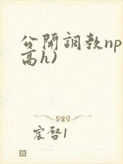 公开调教np(高h)