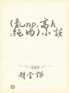 (乱np,高h,纯肉)小说