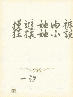 摸进她内裤里疯狂揉她小说视频