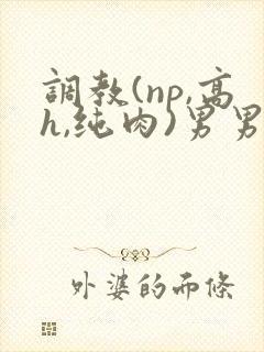 调教(np,高h,纯肉)男男