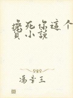 操死你这个小骚货小说