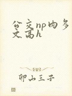 公交np肉多荤文高h
