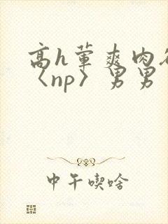 高h荤爽肉欲文〈np〉男男