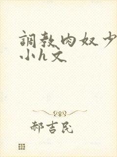 调教肉奴少司缘小h文