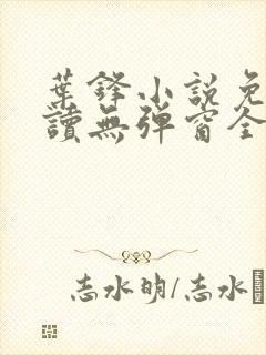 叶锋小说免费阅读无弹窗全文封面