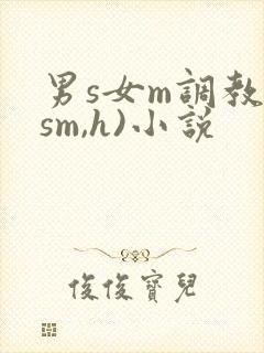 男s女m调教(sm,h)小说