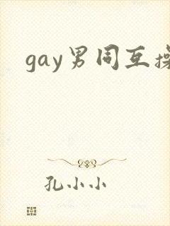 gay男同互操