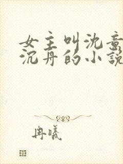 女主叫沈意欢陆沉舟的小说