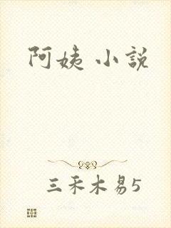 阿姨 小说