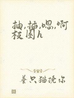 抽,插,嗯,啊校园h