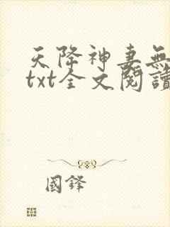 天降神妻无删减txt全文阅读下载