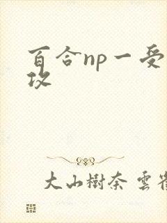 百合np一受多攻