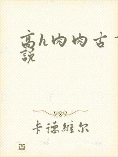 高h肉肉古言小说封面