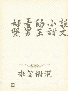 好看的小说推荐双男主甜文