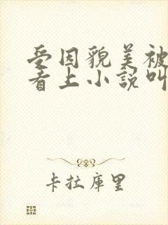 受因貌美被皇帝看上小说叫什么