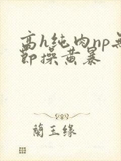 高h纯肉np无节操黄暴