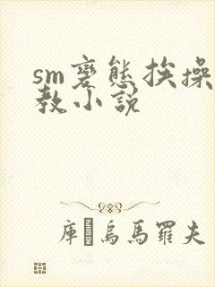 sm变态挨操调教小说