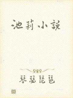 池莉小说