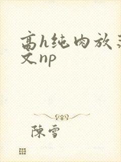 高h纯肉放荡h文np
