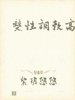 双性调教高h文