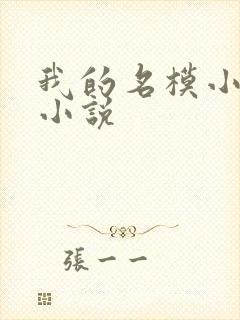 我的名模小娇妻小说