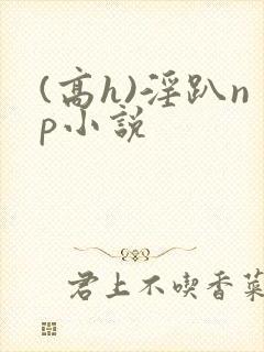(高h)淫趴np小说封面
