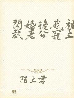 闪婚后,我被总裁老公宠上天封面