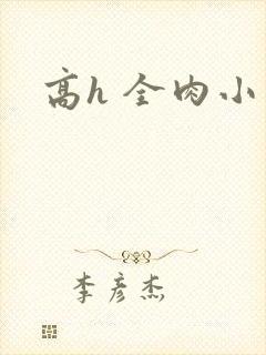 高h 全肉小说