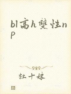 bl高h双性np