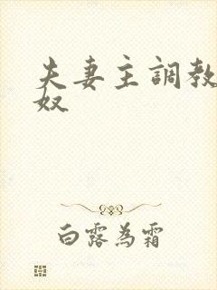 夫妻主调教绿帽奴