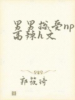 男男总受nph高辣h文