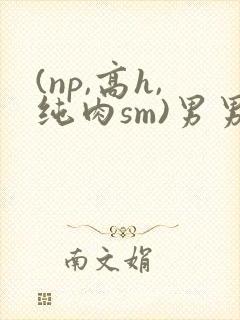 (np,高h,纯肉sm)男男