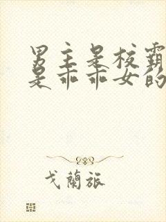 男主是校霸女主是乖乖女的校园宠文封面