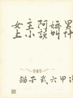 女主阿妩男主皇上小说叫什么封面