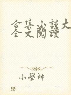 合集小说大团结全文阅读封面