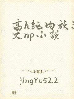 高h纯肉放荡h文np小说