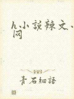 h小说辣文小说网